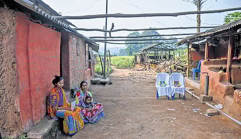 Mango kernel deaths: A bitter cost of hunger and failing governance