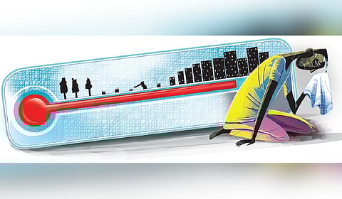 Crop-affected areas in 2022 were 42,000 acres, but in 2024, it was over 1.81 lakh acres .