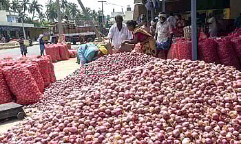 Onion wholesellers in Odisha