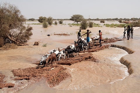 Shepherds move their sheep along a damaged road in Odobere