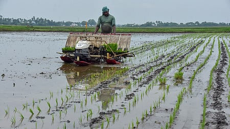 A farmer uses a machine paddy transplanter to cultivate crops in  Ramanathapuram