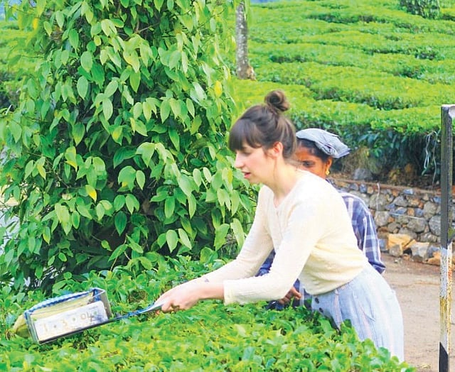A guest indulges in outdoor activities at the Coffee and Pepper Homestay in Thekkady