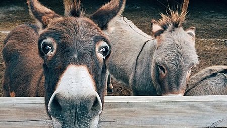 Image used for representational purposes only.