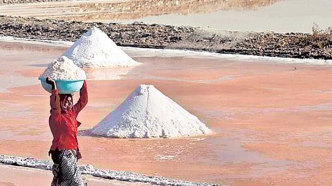 Plummeting salt prices leave Andhra ryots in distress