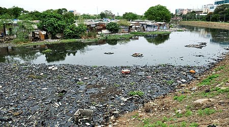 The Save Cauvery organization emphasized that untreated waste and sewage effluent from various towns and villages in the district were being discharged into the river, leading to massive contamination. 