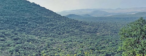 People power saves the hills