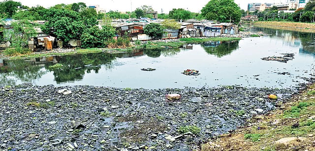 Encroachments and discharge of waste have reduced the water carrying capacity of Cooum River | Express
