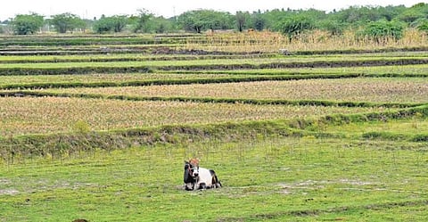 Image used for representational purpose.