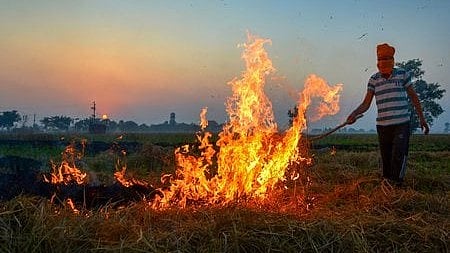 Image of a farmer burning stubble used for representative purpose only.