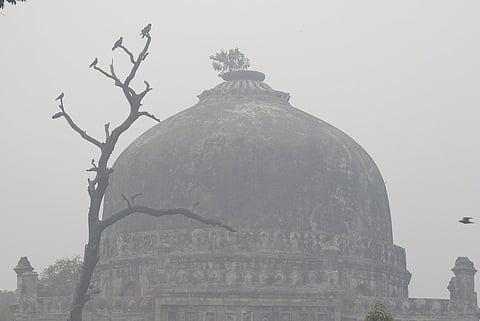 Birds perch on a tree at Lodhi Gardens in New Delhi, Monday, Nov. 18, 2024, amid low visibility due to smog. 