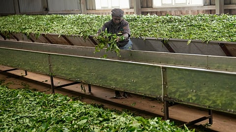 Image used for representation