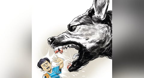 Telangana HC raps GHMC for not doing enough to curb stray dog menace