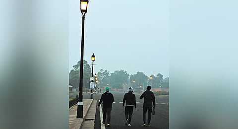 The dystopian winters of Delhi