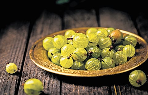 Emblica chakrabartyi.