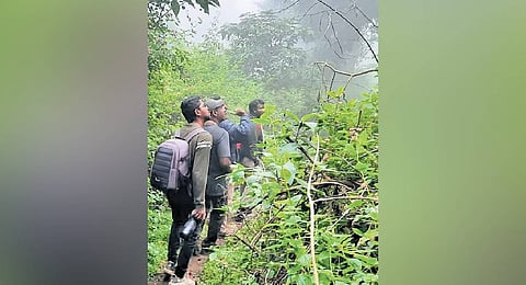 Telangana Unveils Eco-Tourism Policy to Promote Sustainability and Forest Conservation