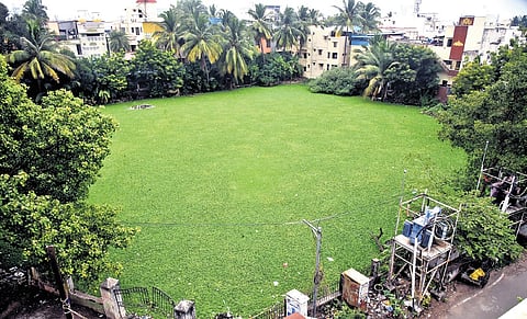 The Puliyakeni pond in Velachery is covered by hyacinth.