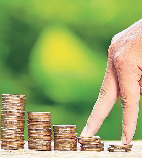 Multi Cap Funds - A Multi-Cuisine Buffet