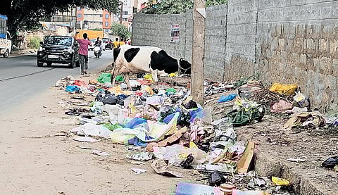 Uncleared garbage on Nallurhalli Road in Whitefield 