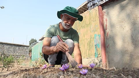 Greening the waste stream