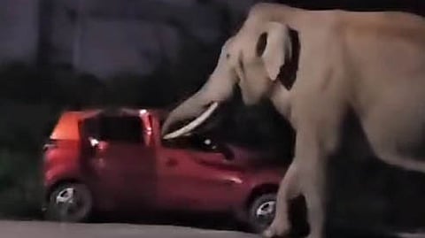 A tusker damaged a parked car at Nelakottai bazaar near Gudalur on Friday night.