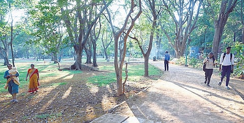 State, BBMP responsible for maintenance of parks: Karnataka HC