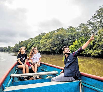 Mangrove boat ride at Chorao Island