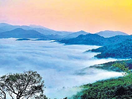 Perched at an altitude of over 1,000 metres above sea level, Lambasingi is a haven for nature lovers. 