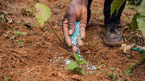 Andhra Agriculture Department ensures adequate supply of fertilisers for Kharif 2025