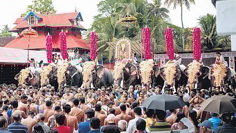 Will religious practices crumble if 
elephants aren’t paraded, asks Kerala HC