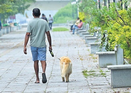 Kochi, we have a pooplem!