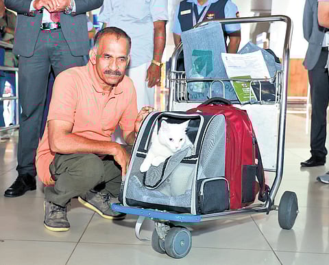 Eva after landing at the Cochin International Airport on Thursday.