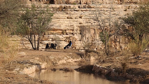 A picture shows a view of the Al-Ghat National Park on November 28, 2024.