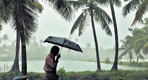 IMD predicts heavy rainfall in 
Kerala till December 4, issues yellow alert