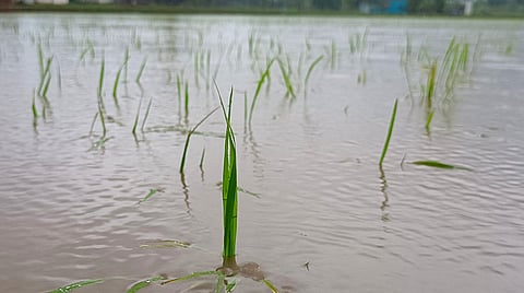 Image used for representation purposes only.