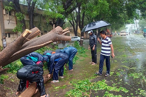 Disaster response force personnel remove uprooted trees from a road amid rain after landfall of Cyclone Fengal, in Cuddalore, Tamil Nadu, Sunday, Dec. 1, 2024.