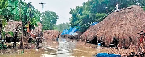 Most of these Irular settlements are located close to waterbodies or deep inside farmlands that are inaccessible even during normal times