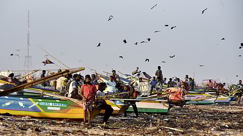 Farmers affected by cyclone Fengal likely to be given compensation soon