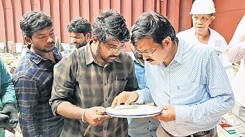 Samples being collected from rice bags aboard Stella L Panama vessel 