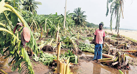The team is also slated to inspect Puducherry (from December 7 to 9) which suffered significant damage to infrastructure and agricultural land.