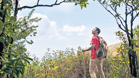 The power of silence