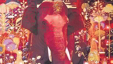 A fantastic trip with the ‘Elephant in the Room’