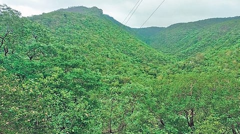Devadari Hills