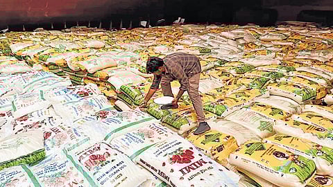 Image of PDS rice used for representational purpose.