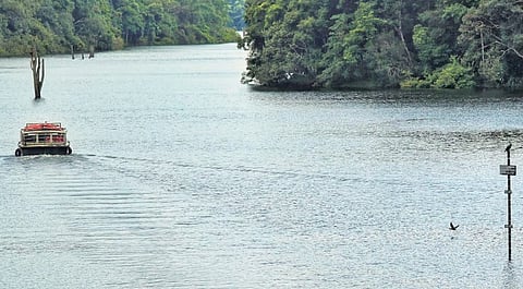 A view of the Mullaiperiyar reservoir