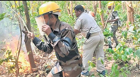 File photo of a forest 
fire in Similipal 
