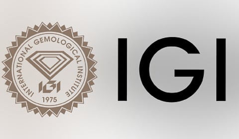 International Gemmological Institute India