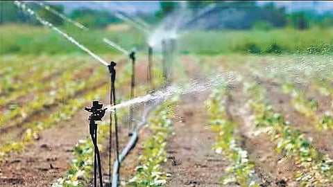 Image used for representational purposes only.