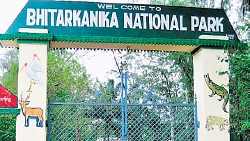 Bhitarkanika National Park.