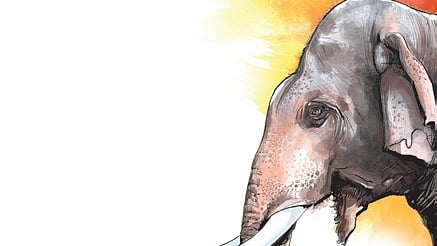 Two tusker attack deaths spark tension in Odisha