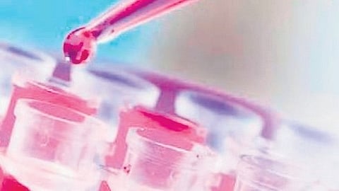 Chemical Examiner’s Lab to provide internship for first time